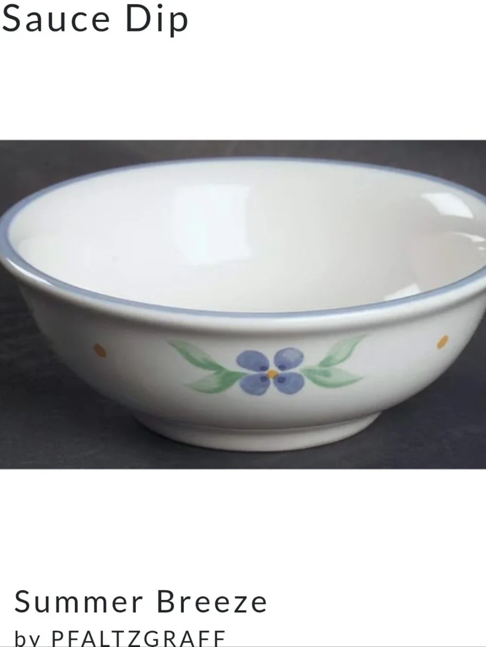 Pfaltzgraff Summer Breeze Sauce Dip Bowls Set of 2 USA 4 1/8